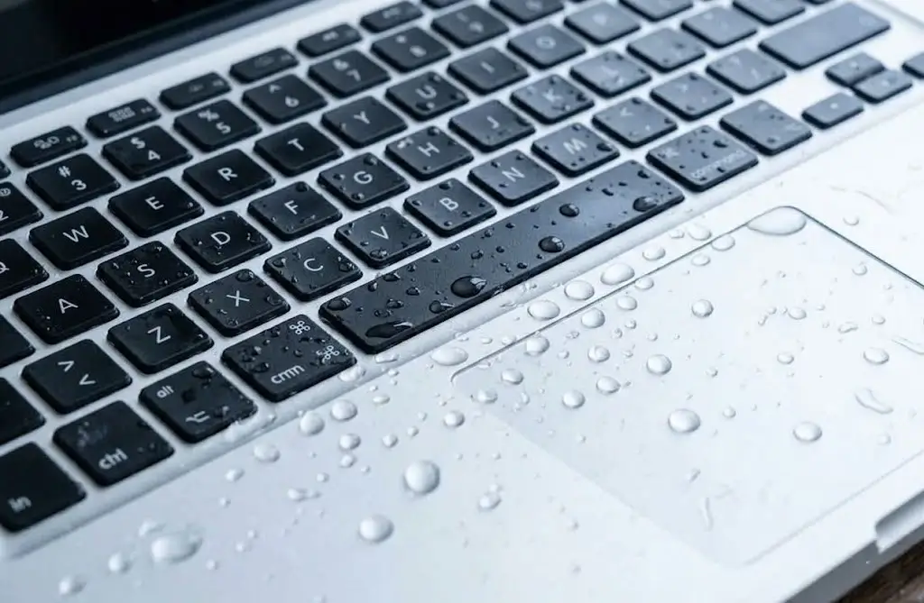 water damage repair service